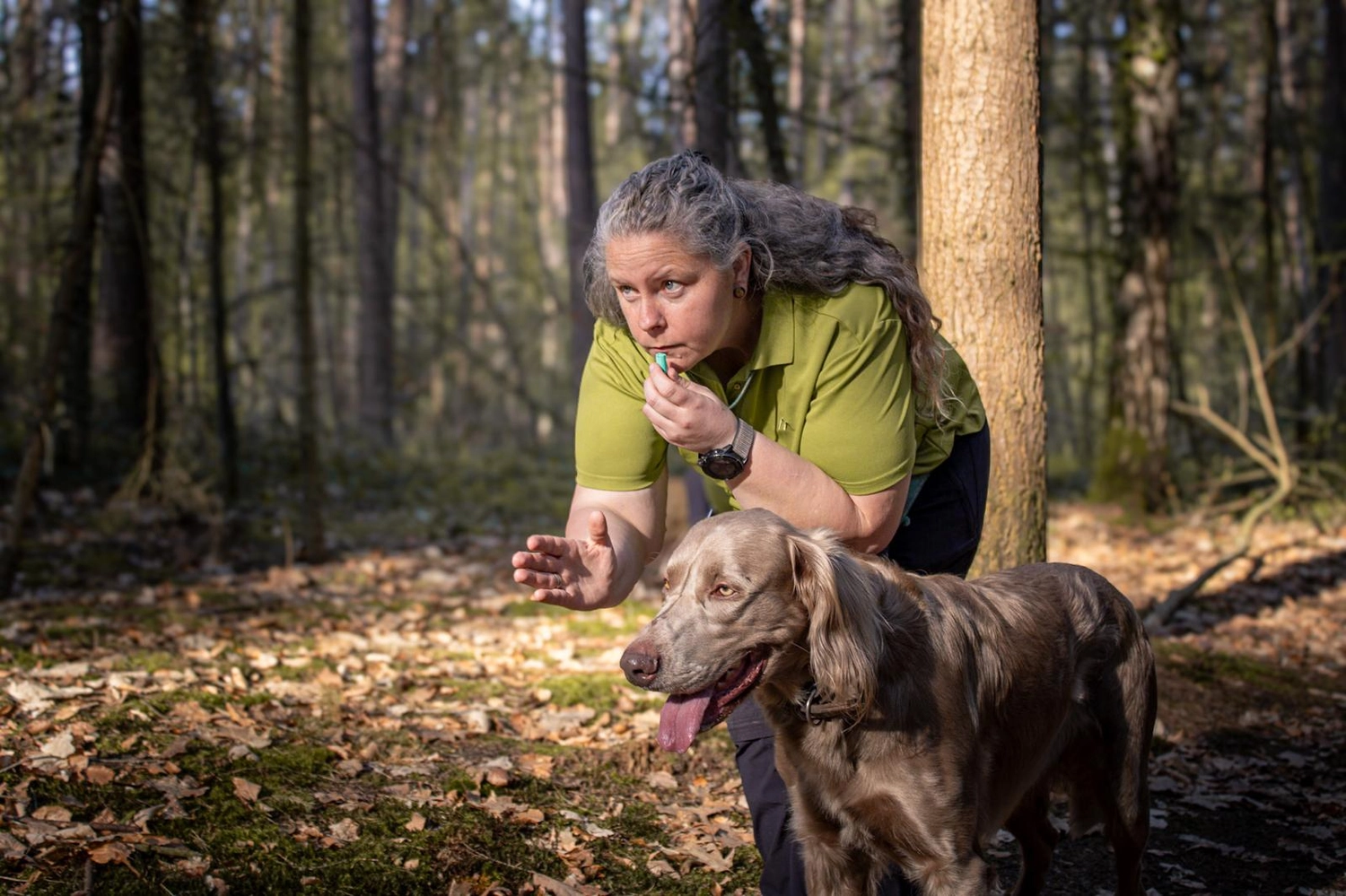 Canis-Optimus - Hundetraining - Hundetraining 