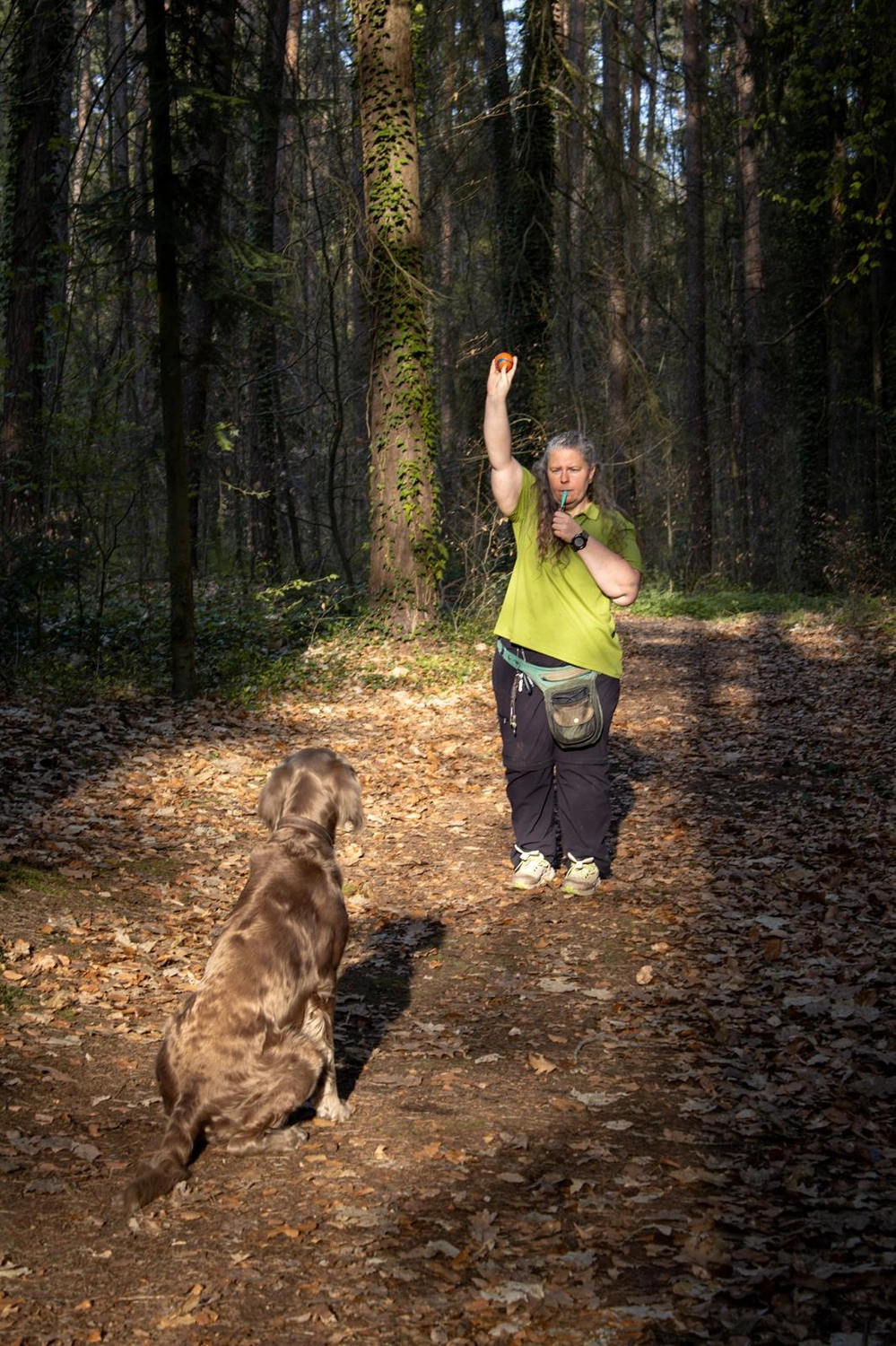 Canis-Optimus – Hundetraining – Kontrolle aus der Distanz bei der Dummy-Arbeit
