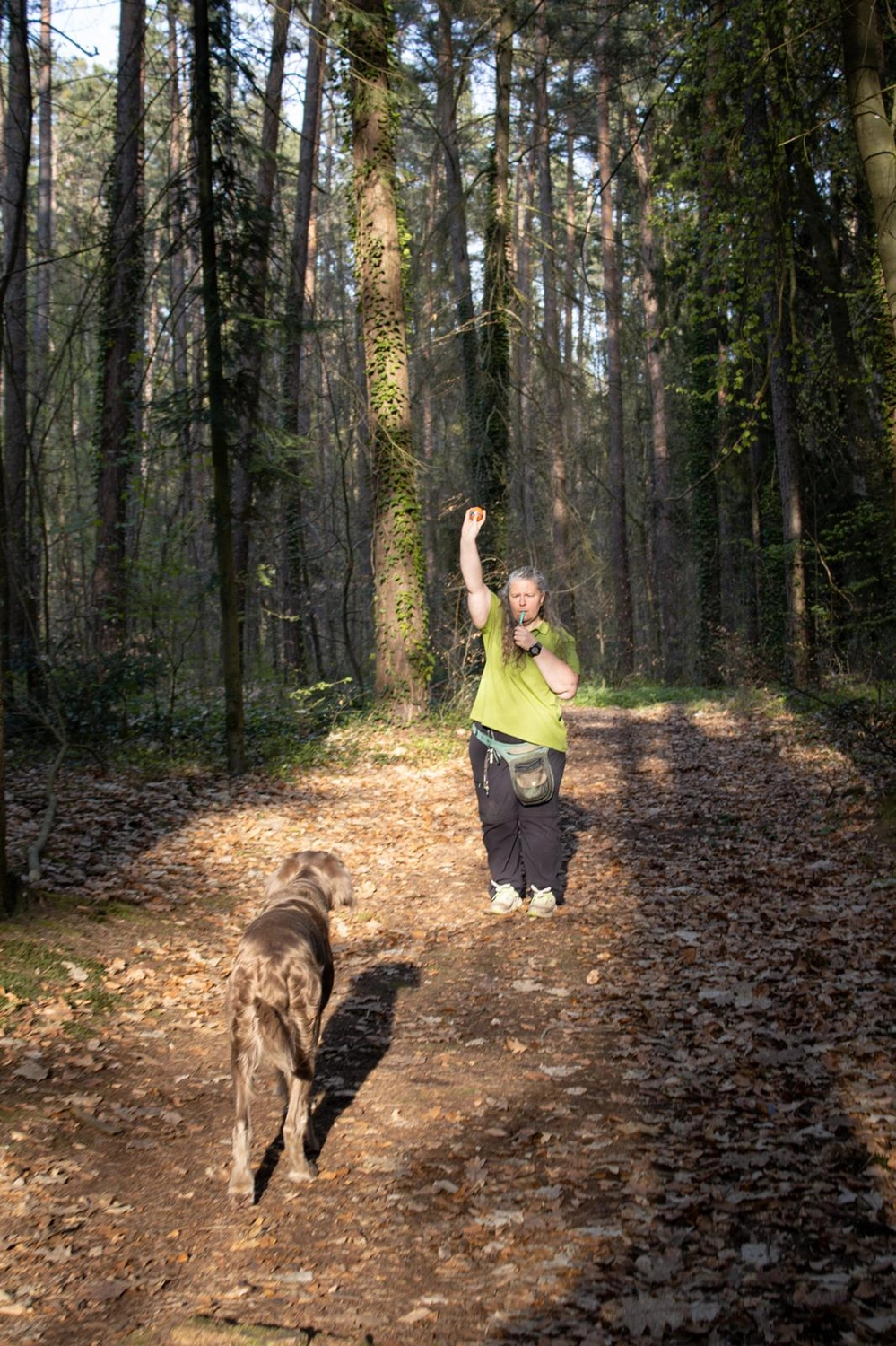 Canis-Optimus – Hundetraining – Kontrolle aus der Distanz bei der Dummy-Arbeit