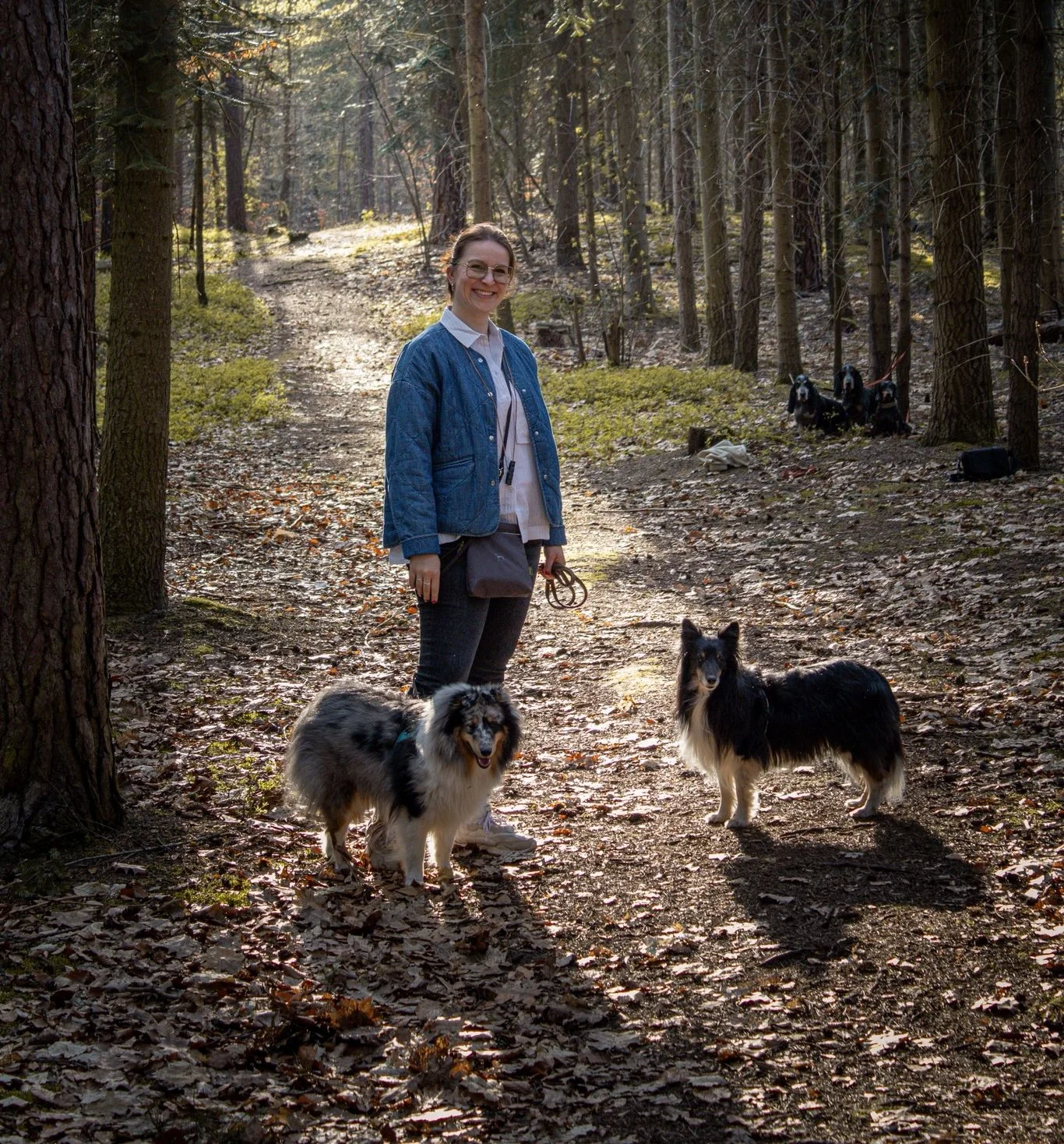 Canis-Optimus - Hundetraining - Sabrina